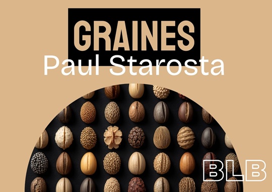 Photographie de graines